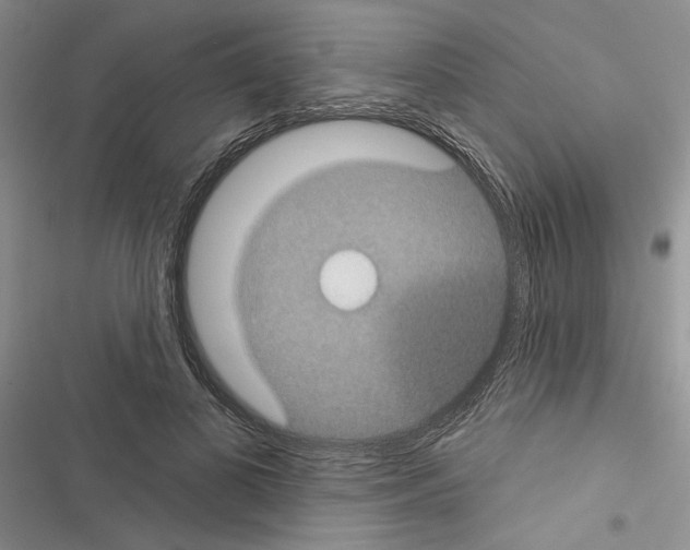 X0000116610693201001221319