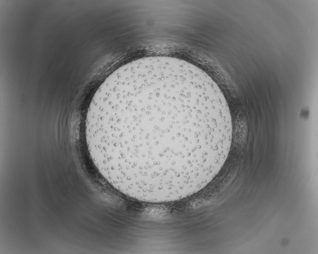 X0000116610694201001221319