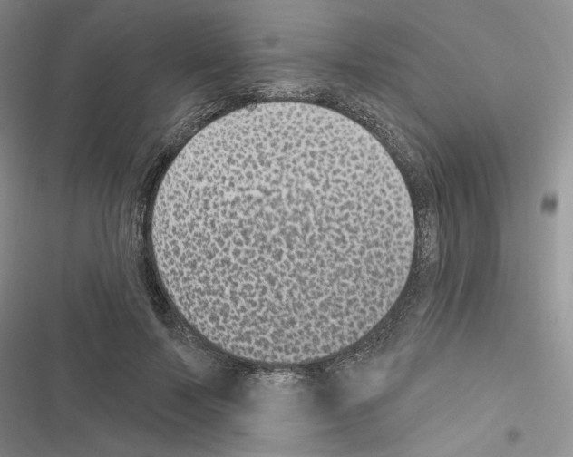 X0000116610695201001221319