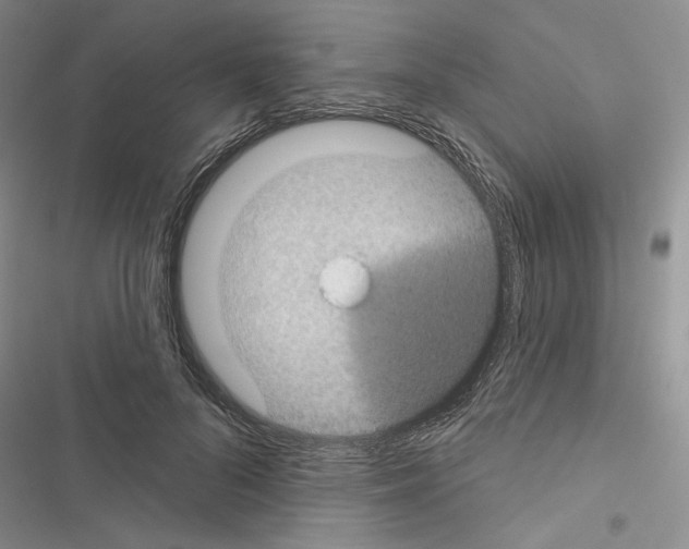 X0000116610696201001221319