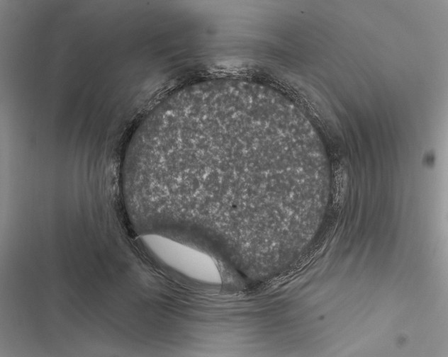 X0000116610699201001221319