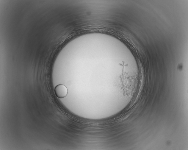 X0000116610700201001221319