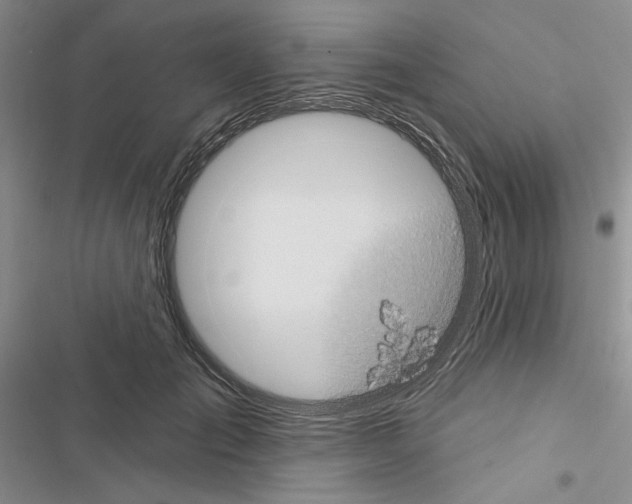 X0000116610701201001221319