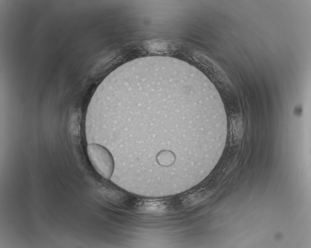 X0000116610702201001221319