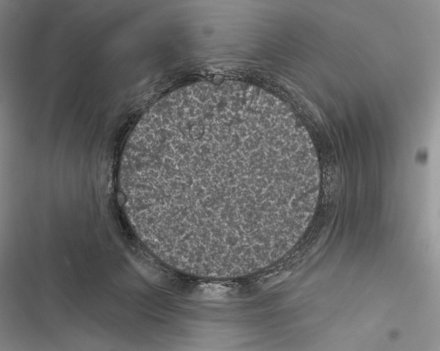 X0000116610703201001221319