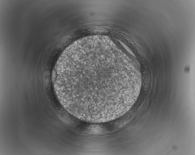 X0000116610704201001221319