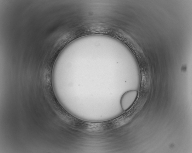 X0000116610705201001221319