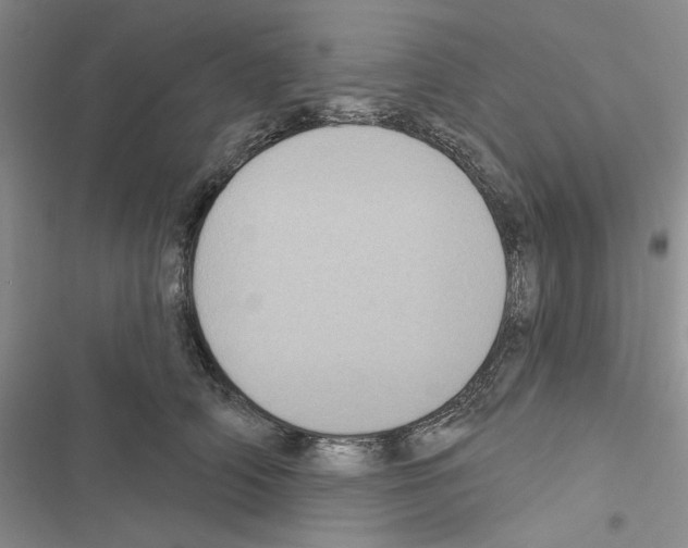 X0000116610706201001221319