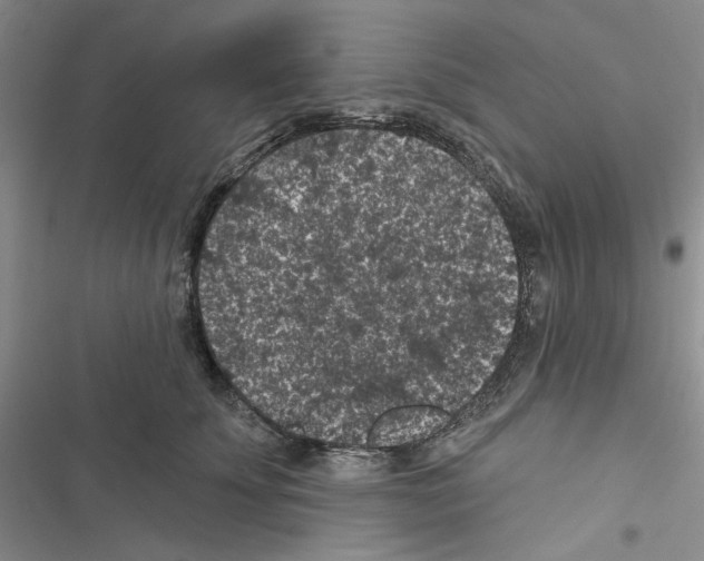 X0000116610707201001221319