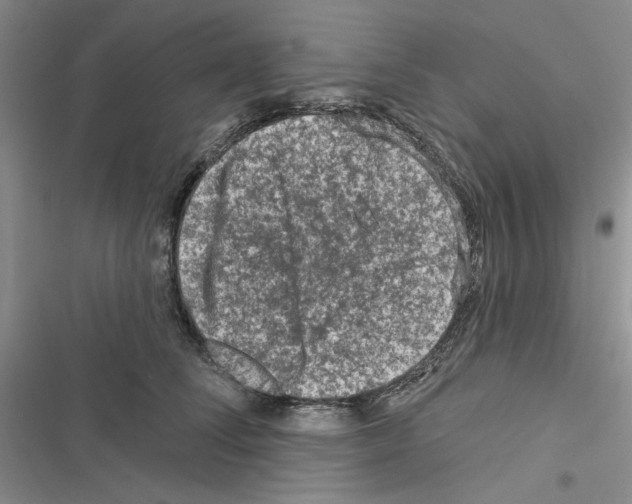 X0000116610708201001221319