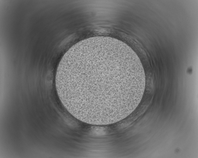 X0000116610710201001221319