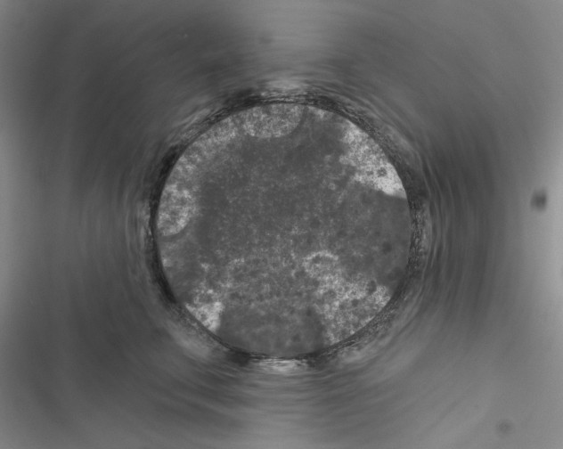 X0000116610711201001221319