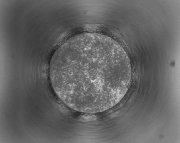 X0000116610712201001221319