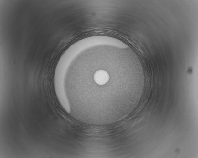 X0000116610713201001221319