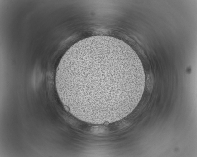 X0000116610714201001221319