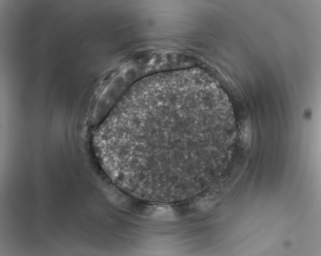 X0000116610715201001221319