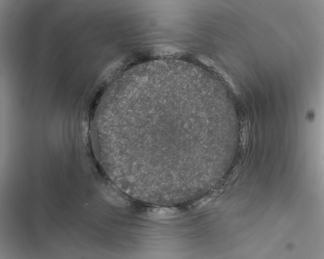 X0000116610716201001221319