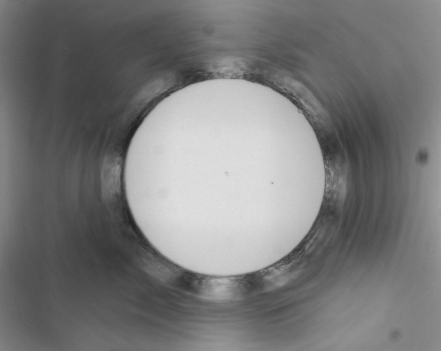 X0000116610717201001221319