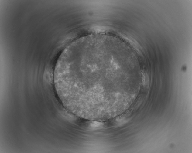 X0000116610718201001221319