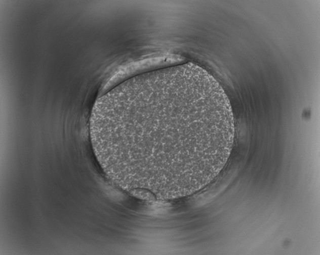 X0000116610719201001221319