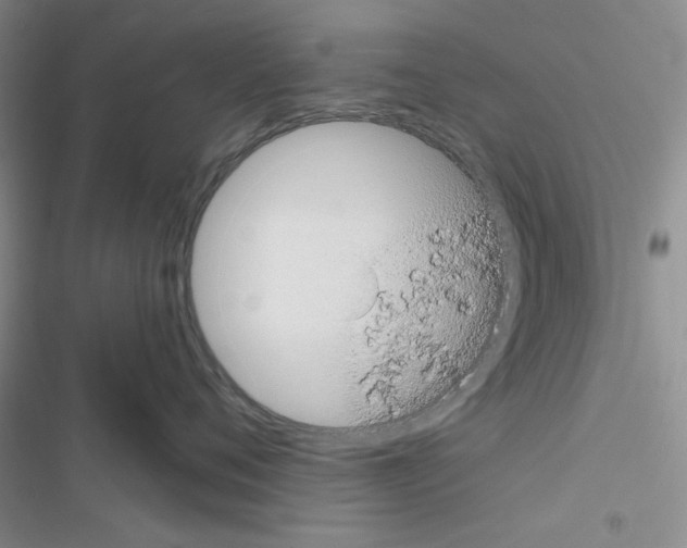 X0000116610720201001221319