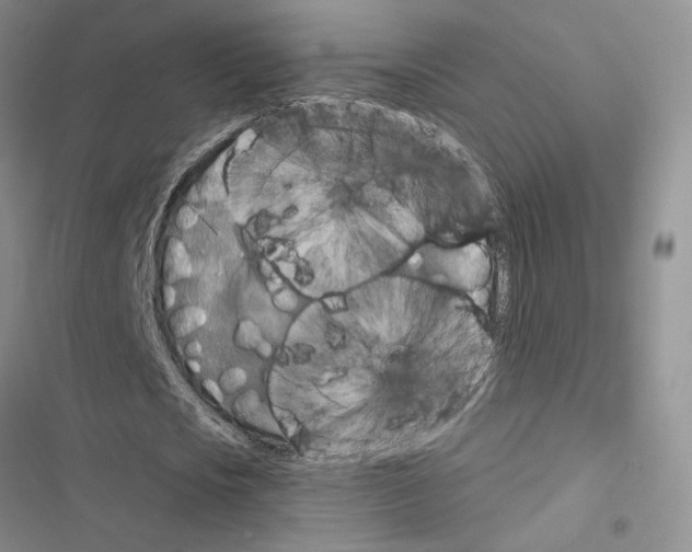 X0000116610721201001221318