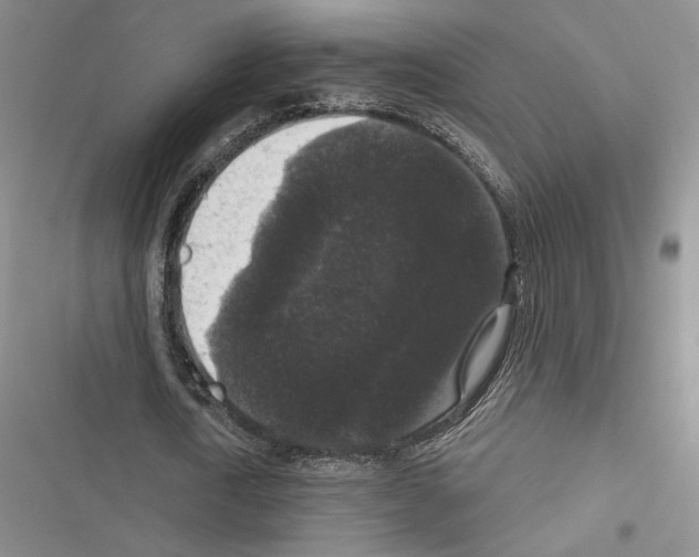 X0000116610722201001221318