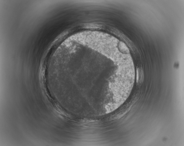 X0000116610723201001221318