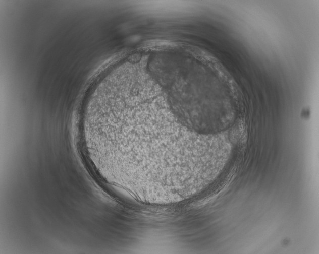 X0000116610725201001221318