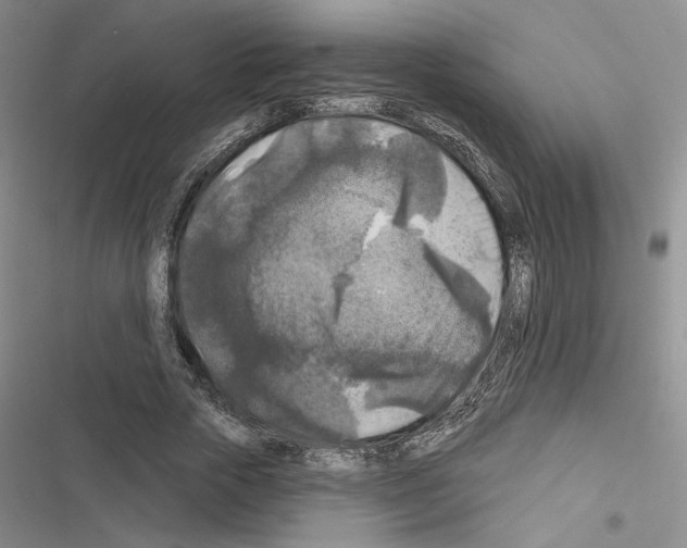 X0000116610729201001221318