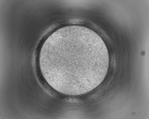 X0000116610730201001221318