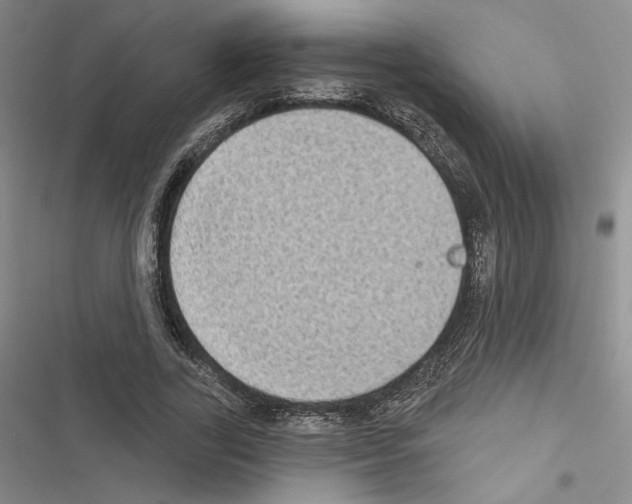 X0000116610731201001221318