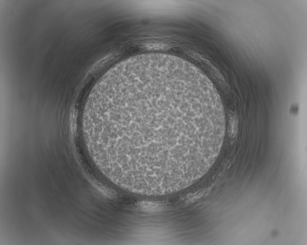 X0000116610733201001221318