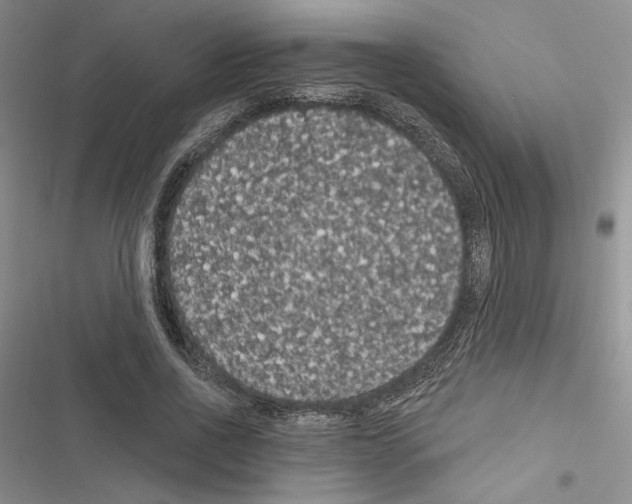 X0000116610734201001221318