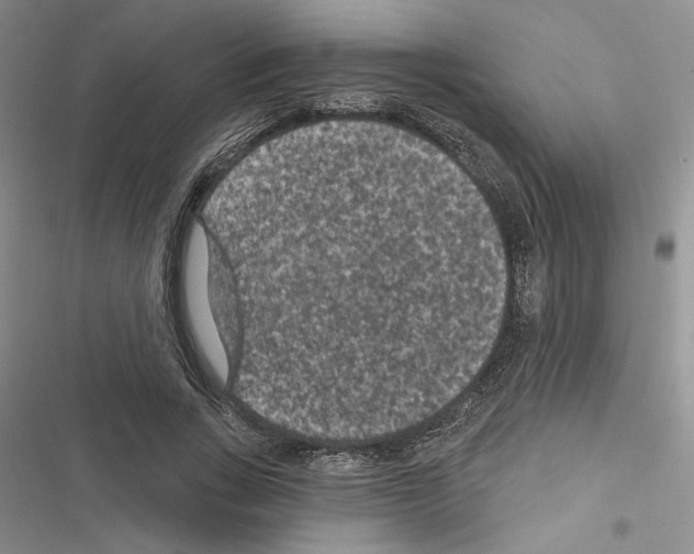 X0000116610735201001221318