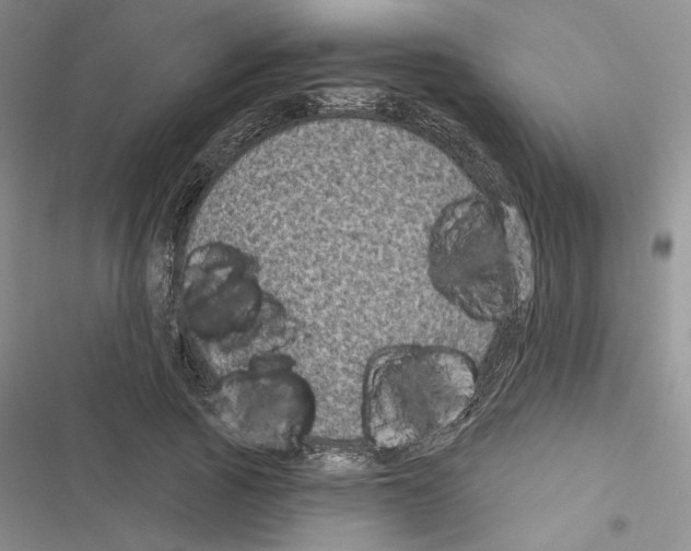 X0000116610737201001221318