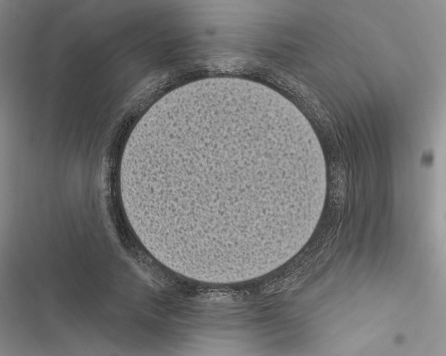 X0000116610738201001221318