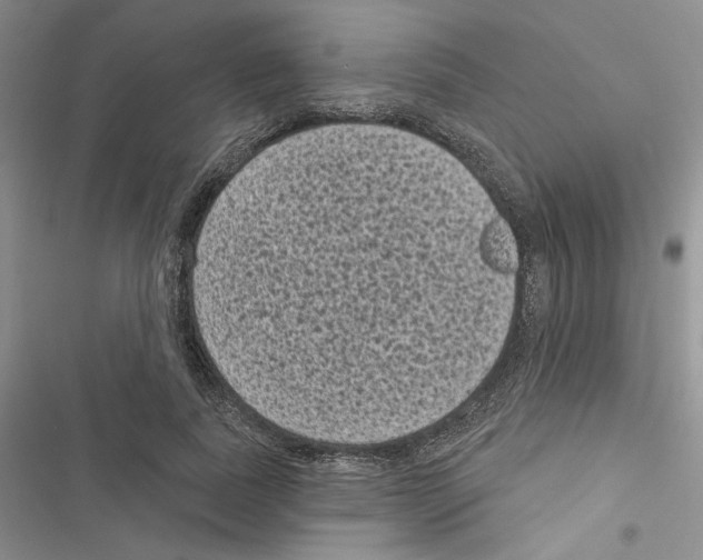 X0000116610739201001221318