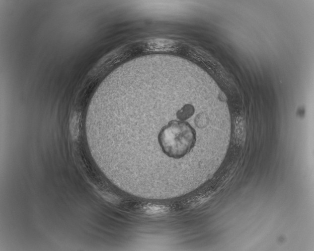 X0000116610741201001221318