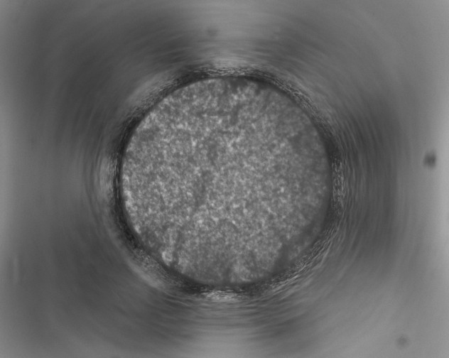 X0000116610742201001221318