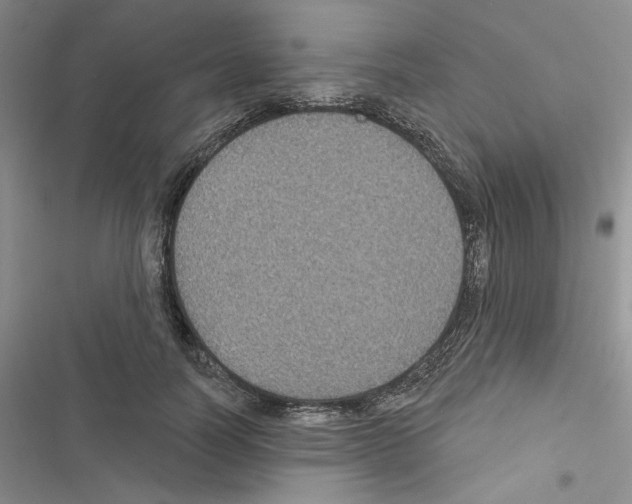 X0000116610746201001221318