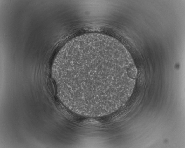 X0000116610747201001221318