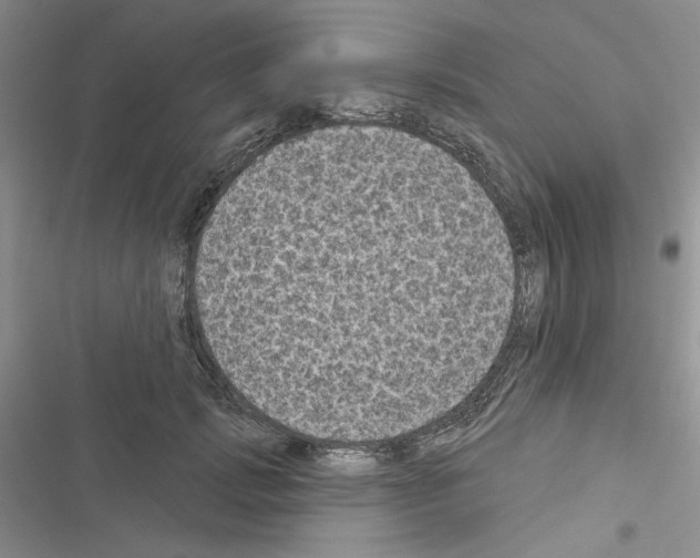 X0000116610749201001221318