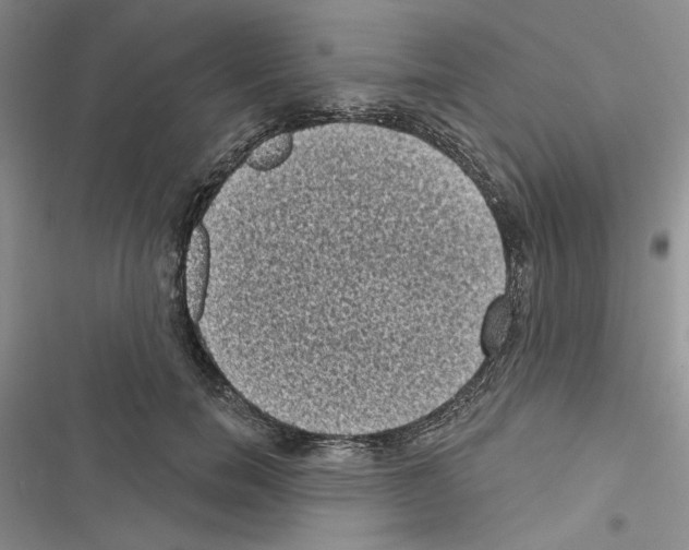 X0000116610750201001221318