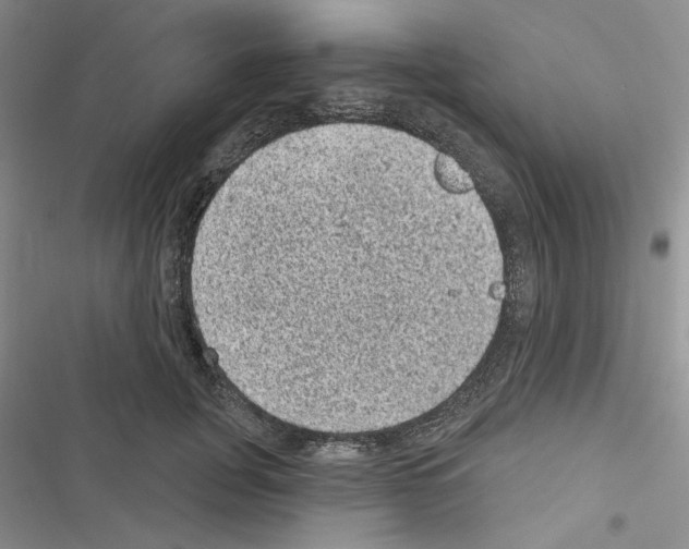 X0000116610751201001221318