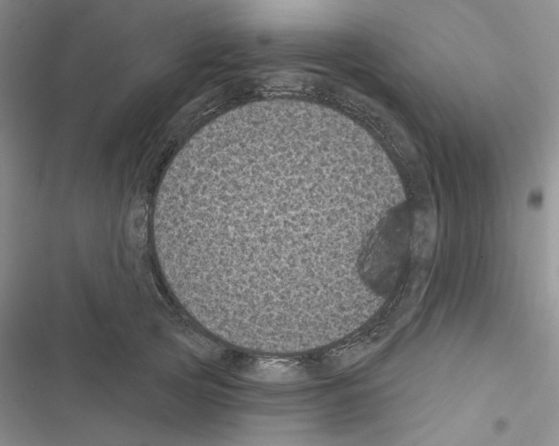 X0000116610753201001221318