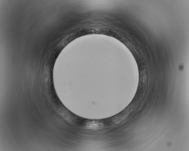 X0000116610754201001221318