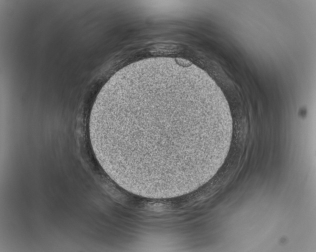 X0000116610755201001221318