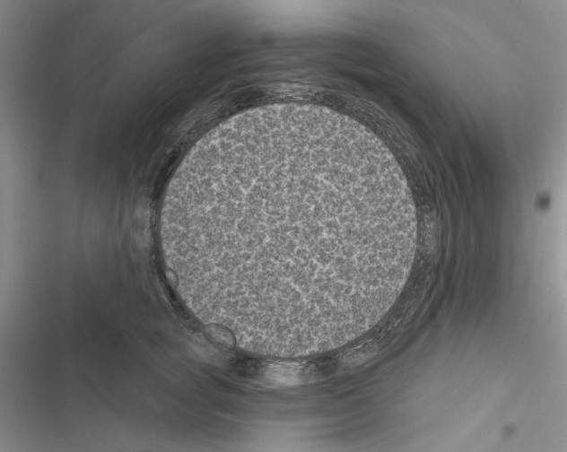 X0000116610757201001221318