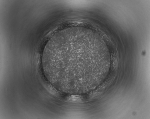 X0000116610758201001221319